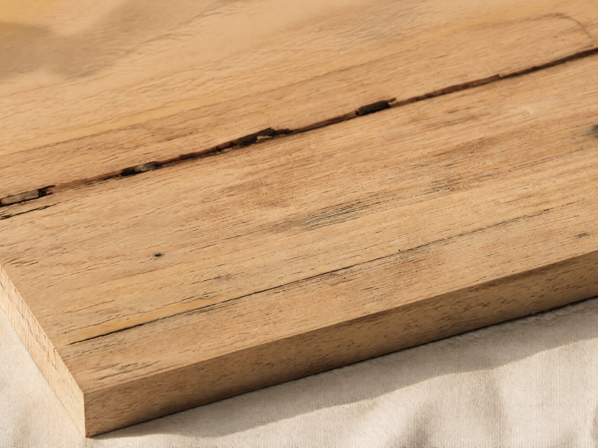 Silvertop Ash
